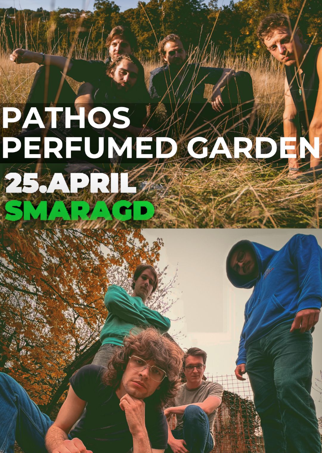 2bb8d9df-ab23-4a04-a829-a54776ea1d39